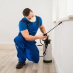 pest_control_shutterstock_363342995_control_pest_termite_insecticide_pesticide_house_man_maintenance_cockroach_safety.jpg